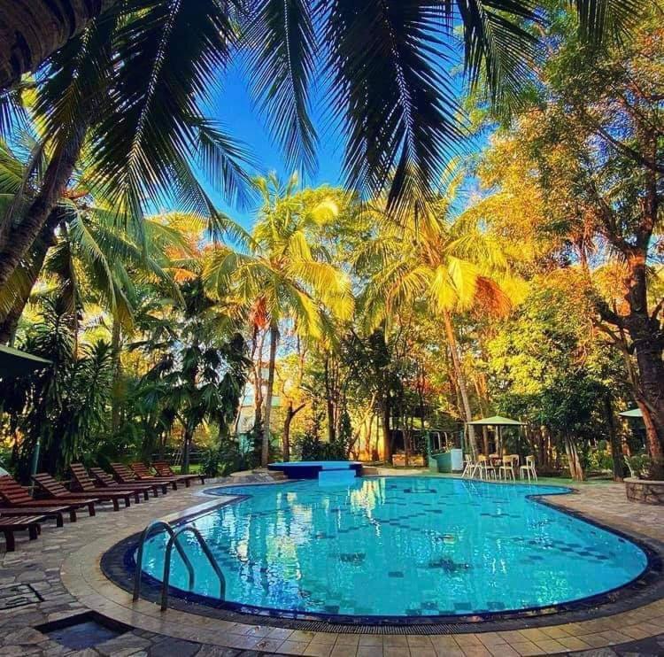 Hotel Eden Garden Сігірія Екстер'єр фото